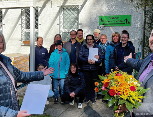 „Tierisch engagiert für Brandenburg“: Tierschützer Rico Lange ist „Ehrenamtler des Monats“ September
