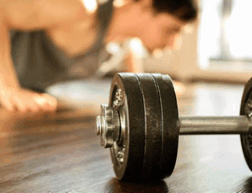 Studio pro Fitness Cottbus
