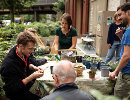 Start des Ideenwettbewerb „Klimaschutz nebenan“ der nebenan.de Stiftung