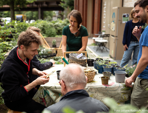 Ideenwettbewerb Klimaschutz nebenan 2026