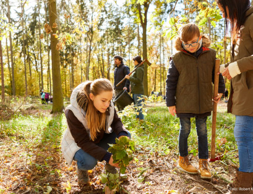 Programm #kommunalEngagiert der Deutschen Stiftung für Engagement und Ehrenamt